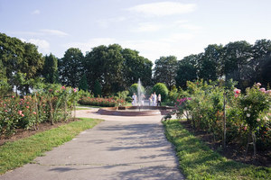 Ботанический сад им. Гришко