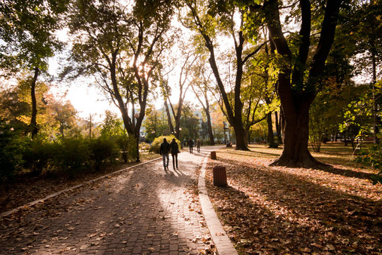 Мариинский парк